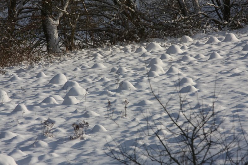 Winter 17.12.2010 003.JPG